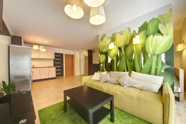 Апартаменты Jaukūs apartamentai Вильнюс-8